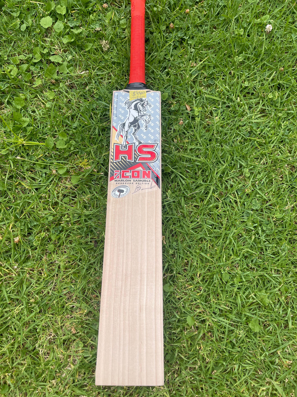 HS ICON English Willow Cricket bat-SH-9 Grains-1209g