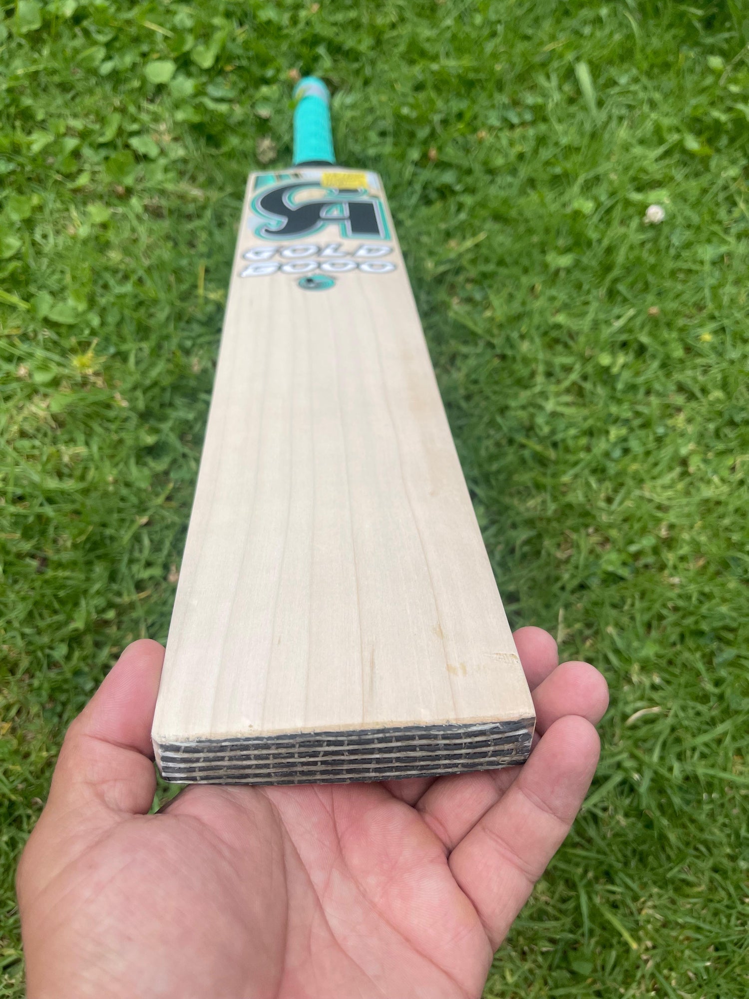 CA GOLD 8000 English Willow Cricket bat-8 Grains-1215g