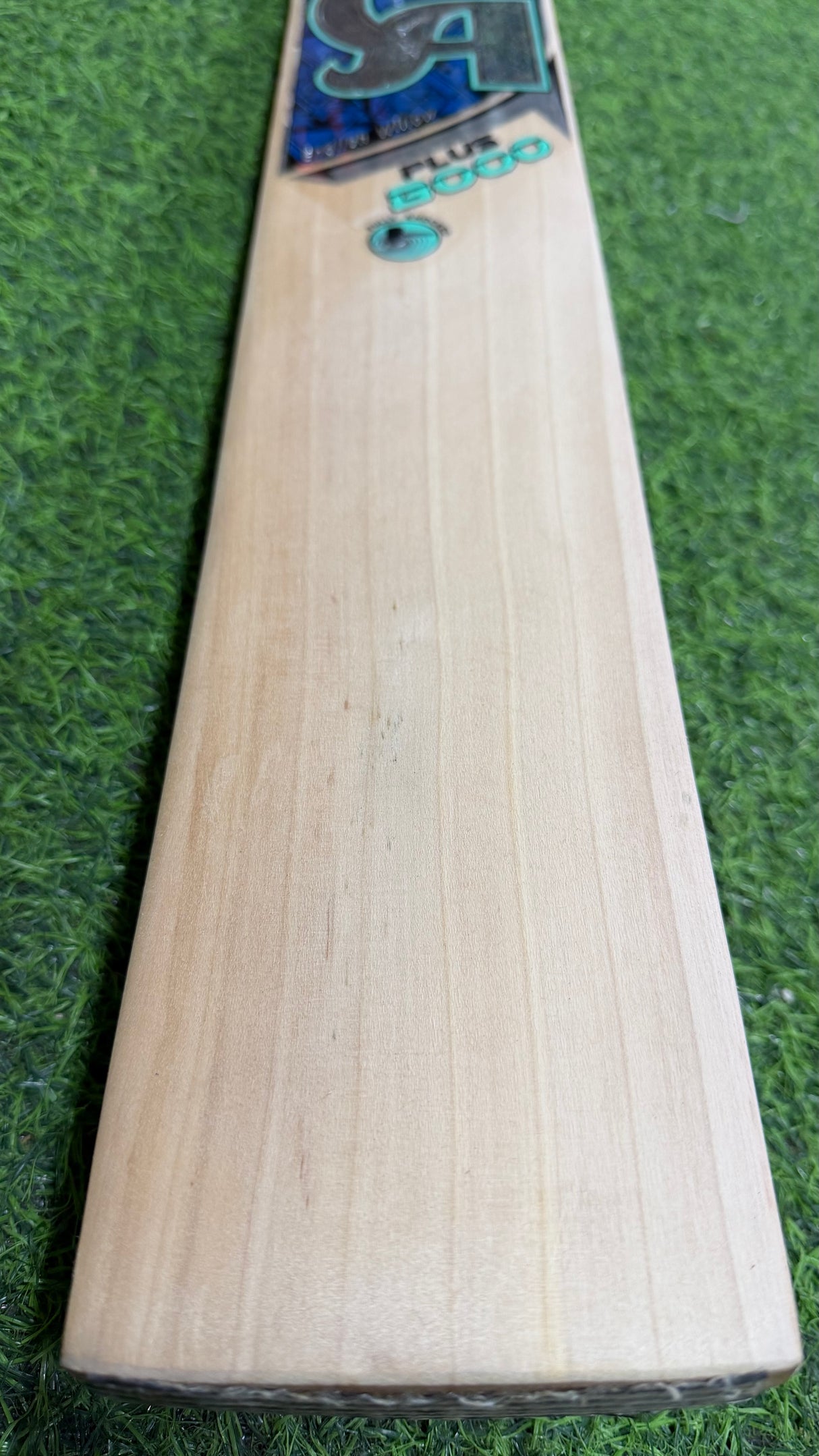 CA PLUS 8000 English Willow Cricket bat-8 Grains-1242g