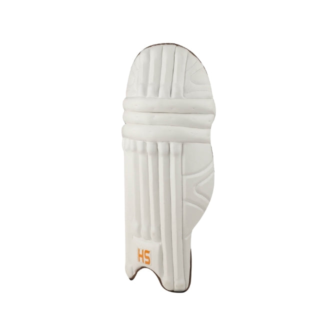 HS 41 Cricket Batting Pads