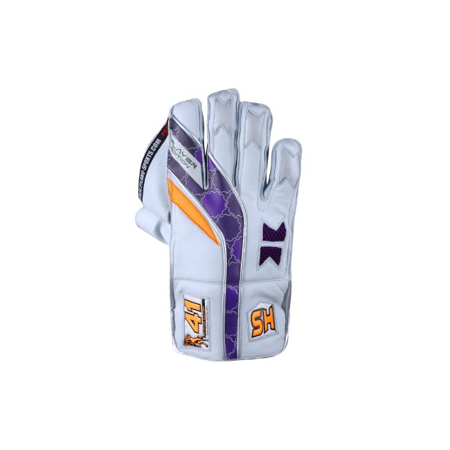 HS 41 Cricket Keeping Gloves