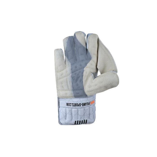 HS 41 Cricket Keeping Gloves