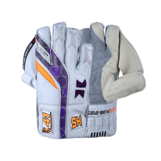 HS 41 Cricket Keeping Gloves