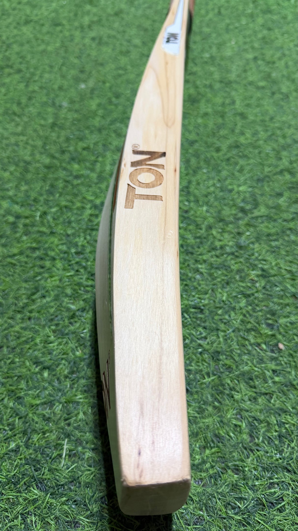 SS TON Gusty English willow Cricket Bat - 1155g / 8 Grains