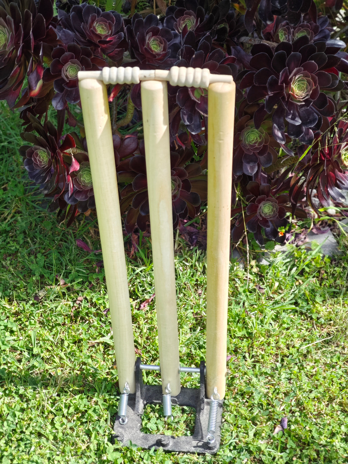 Spring and Metal Base Cricket Stumps.