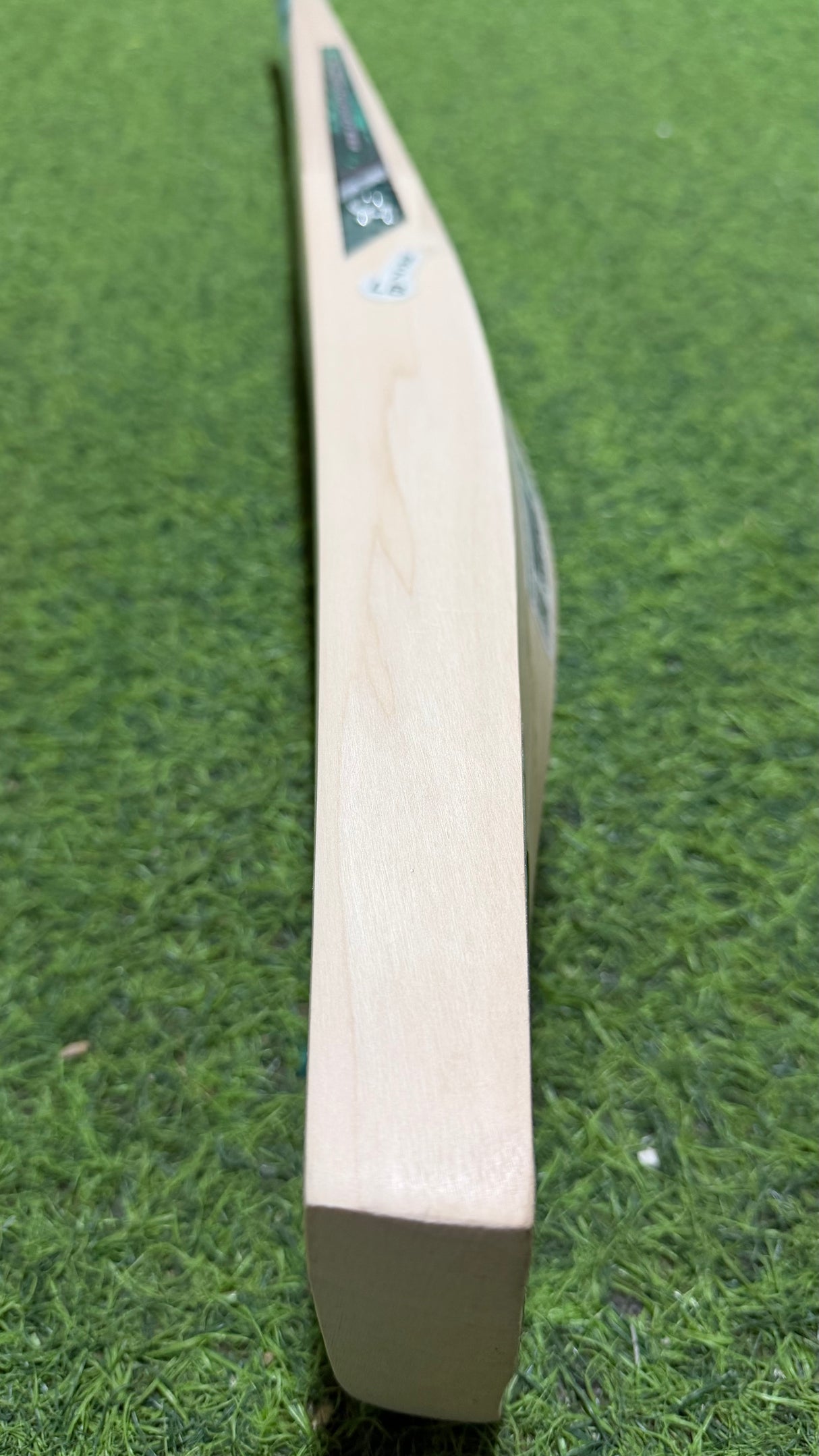 CA Gold 8000 English Willow Cricket Bat / 6 grains 1160g - 2.7 lb