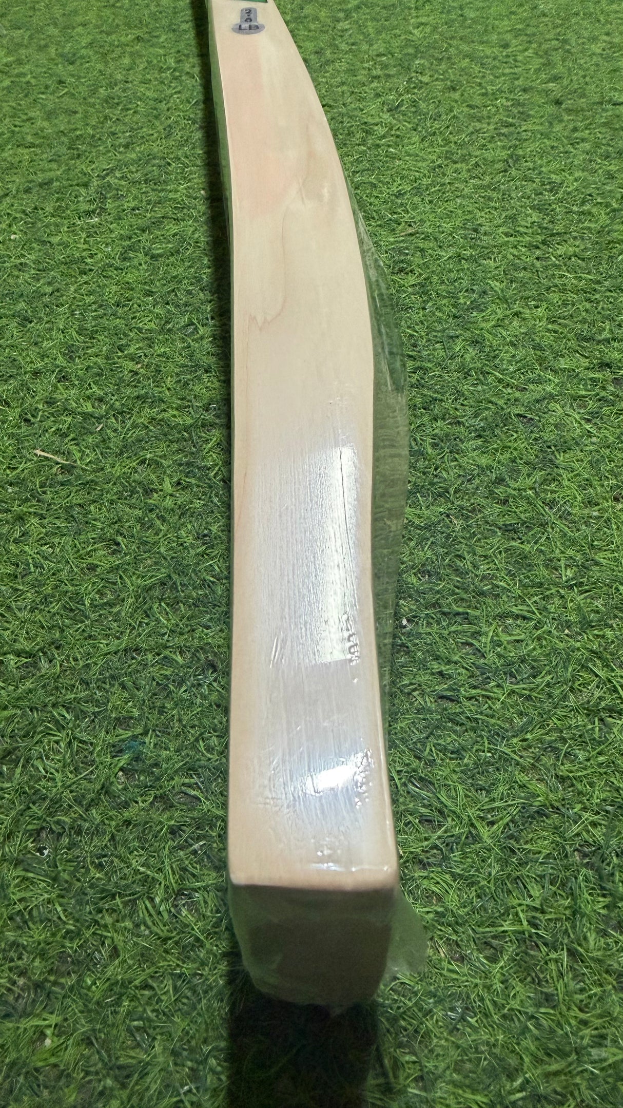 CA PRO 15000 English Willow Bat | 1200g 7 Grains - 2.8 lb