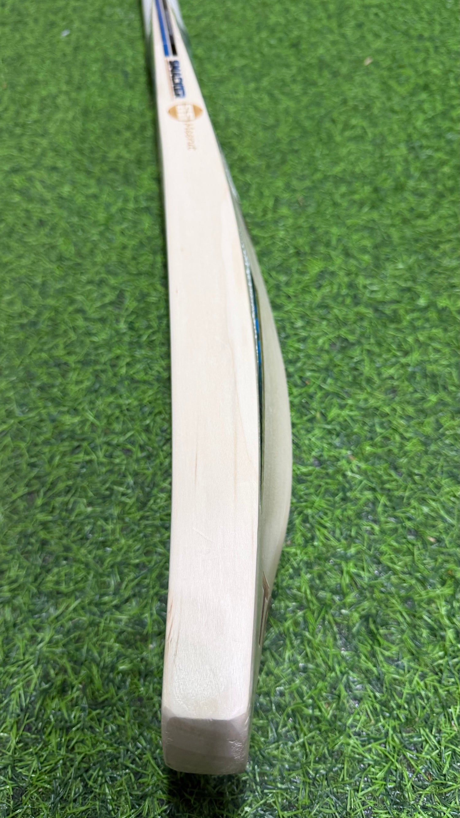 SS SMACKER BLASTER Premium English willow Cricket Bat - 1150g