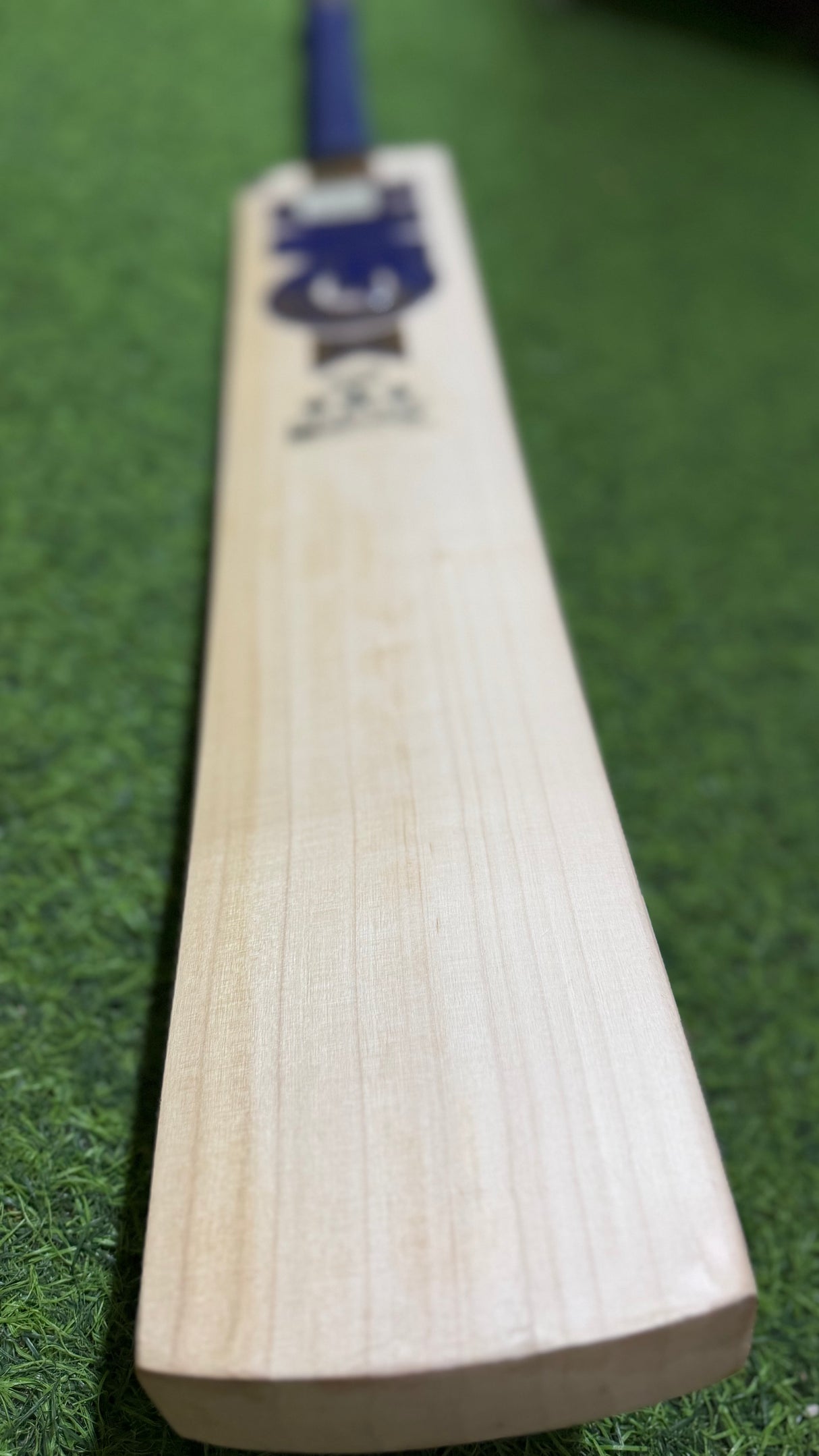 GM Brava 444 English Willow Cricket Bat -8 Grains / 1170g ( 2.7 lb )