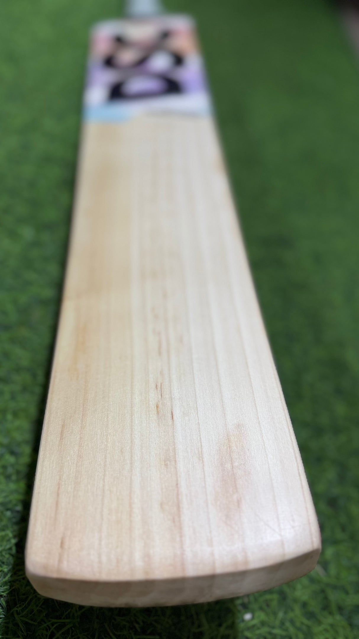 DSC Condor Torrrent - English willow Cricket Bat - 9 Grains - 1195 g