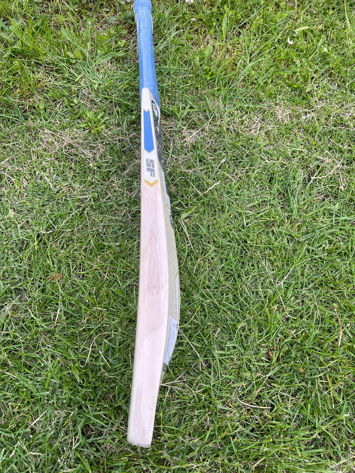 SF PA 18 English Willow Cricket Bat - SH