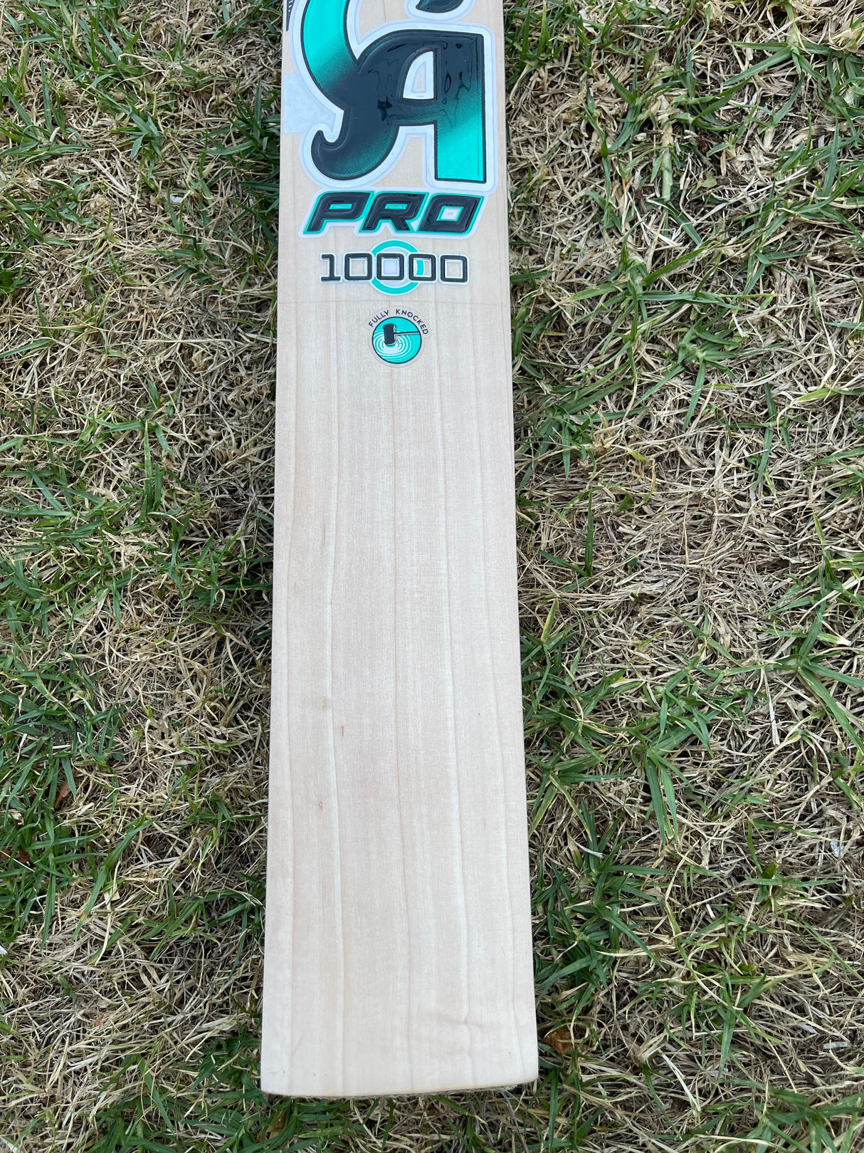CA Pro 10000 English Willow Cricket bat -6 Grains 1185 Grams