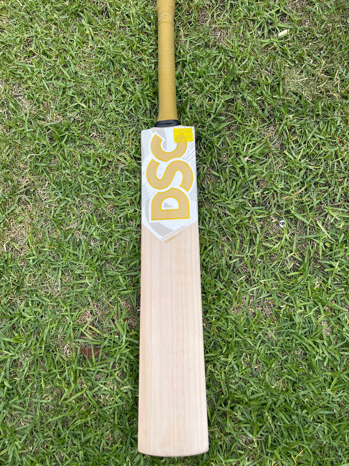 DSC Eureka Glint Supreme English willow Cricket Bat - 8 Grains - 1225 g