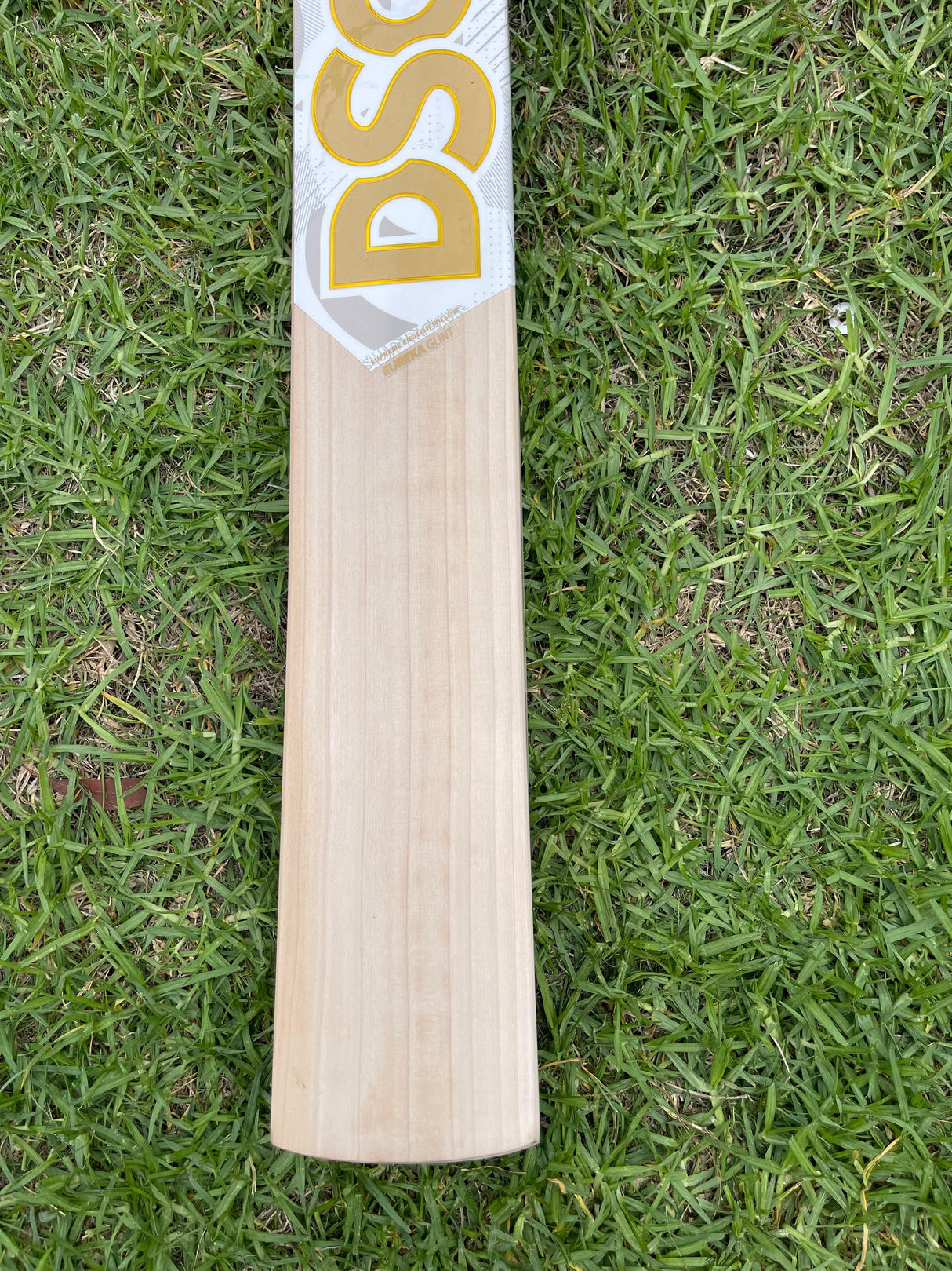 DSC Eureka Glint Supreme English willow Cricket Bat - 8 Grains - 1225 g