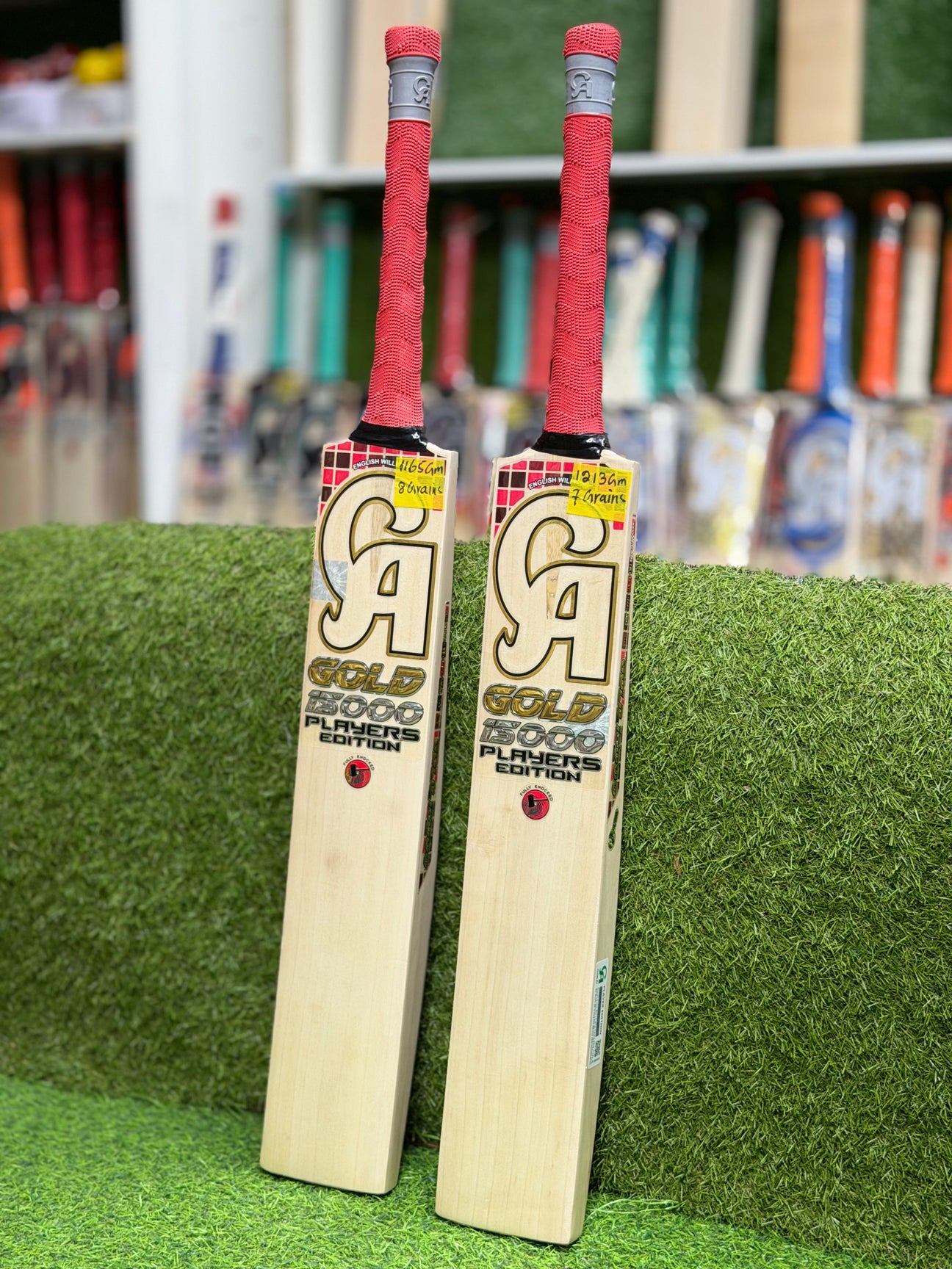 CA GOLD 15000 PLAYERS EDITION