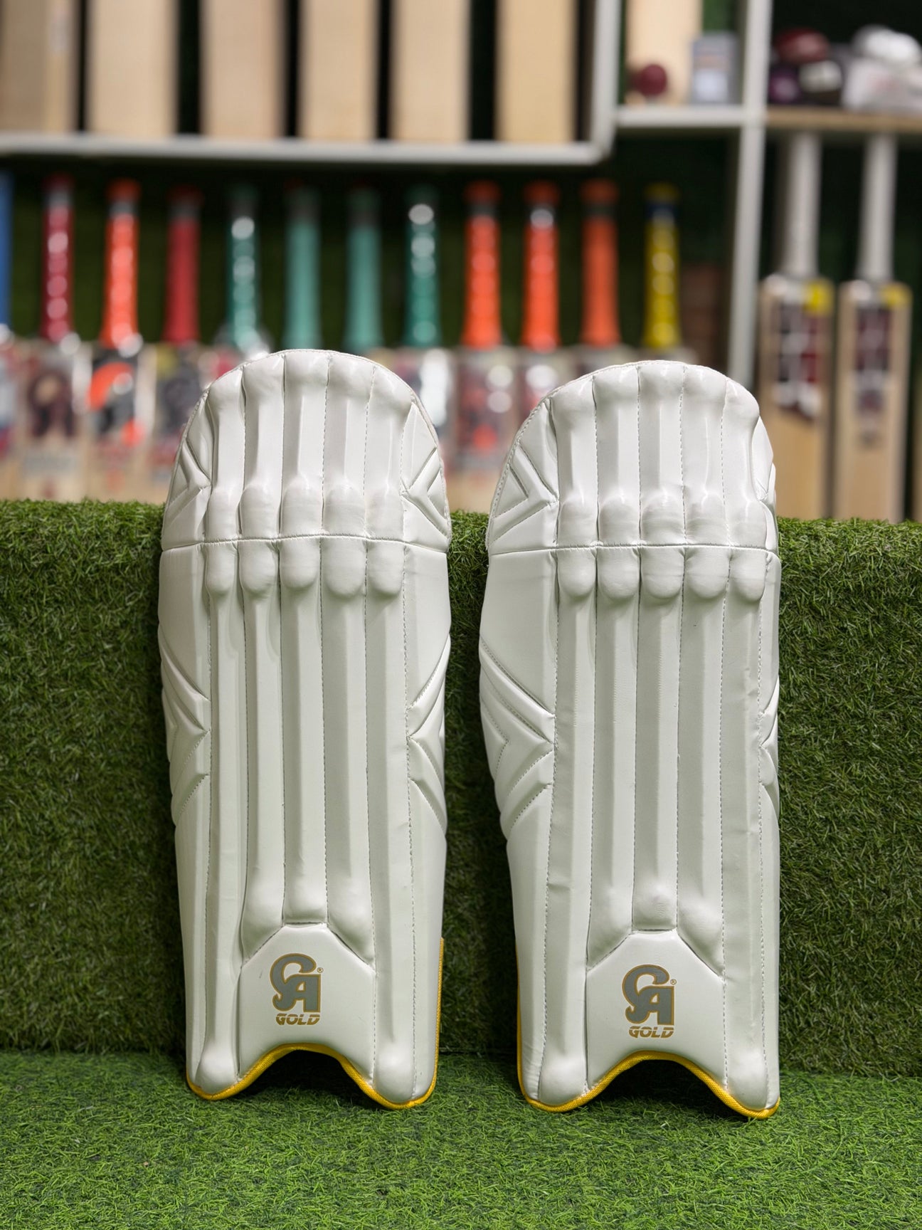 Cricket Keeping Pads