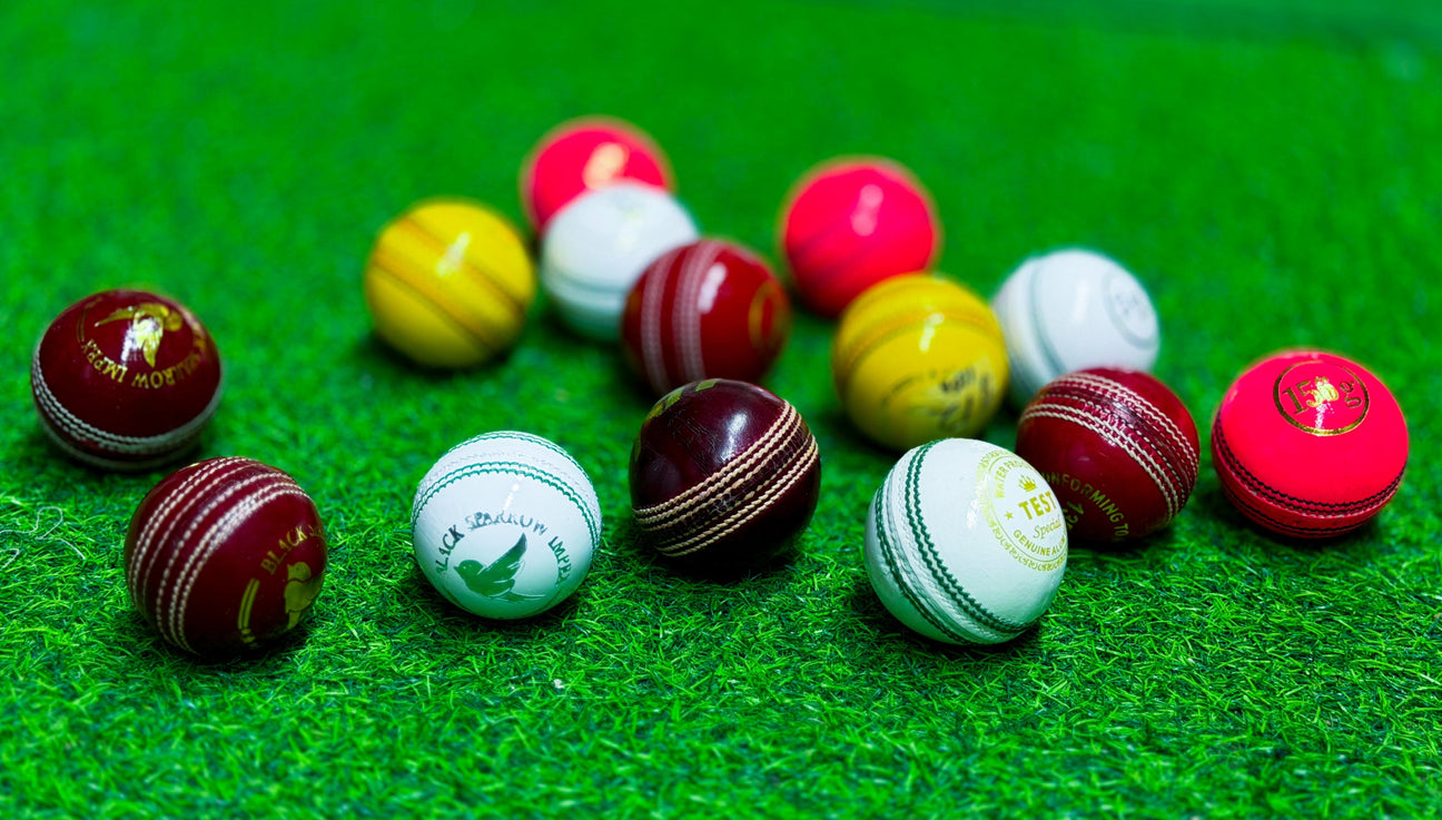Leather/hard Cricket balls