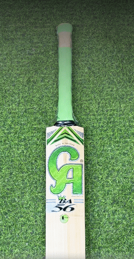 Best Cricket Bats | Top Cricket Bat collections