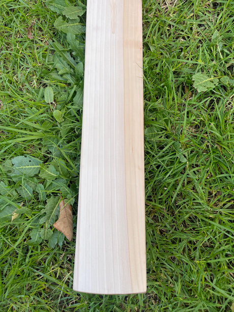 English Willow Cricket Bat - Non Branded