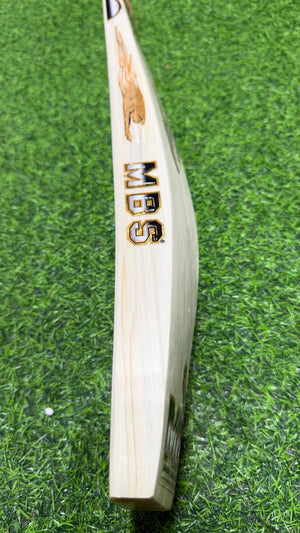 MBS SHER BILAL English Willow Cricket bat-6 Grains-1200g