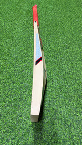 HS ICON Grade 1 English Willow Cricket bat-SH-8 Grains-1228g
