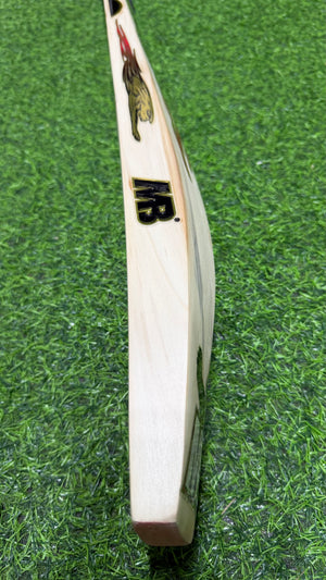 MB MALIK SHER AMIN EDITION ENGLISH WILLOW CRICKET BAT-6Grains-1245g