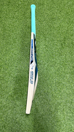 CA GOLD 10000 English Willow Cricket bat-6 Grains-1249g