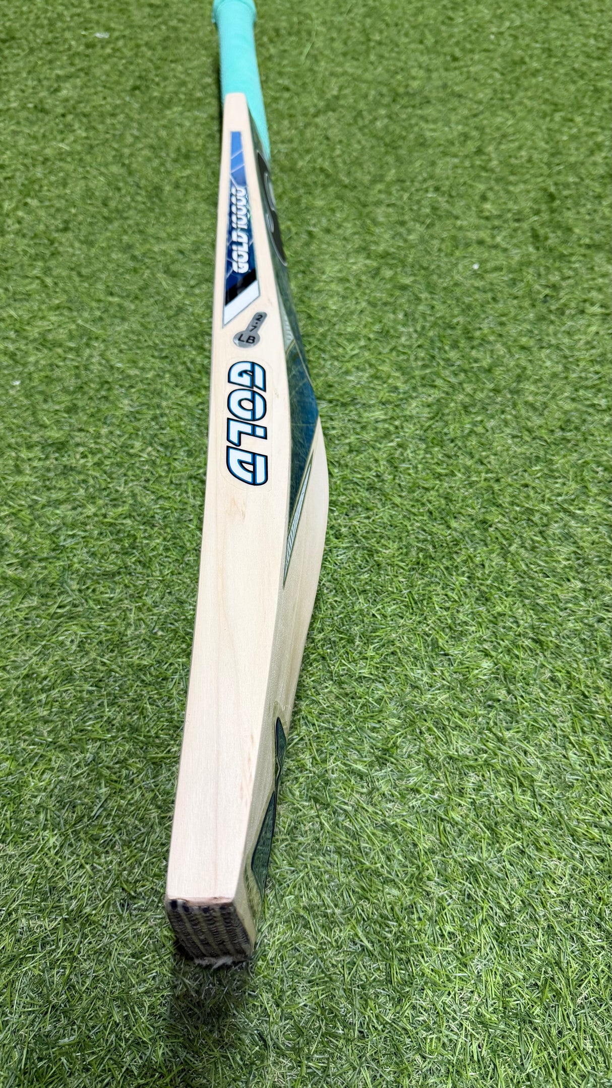 CA GOLD 10000 English Willow Cricket bat-6 Grains-1249g