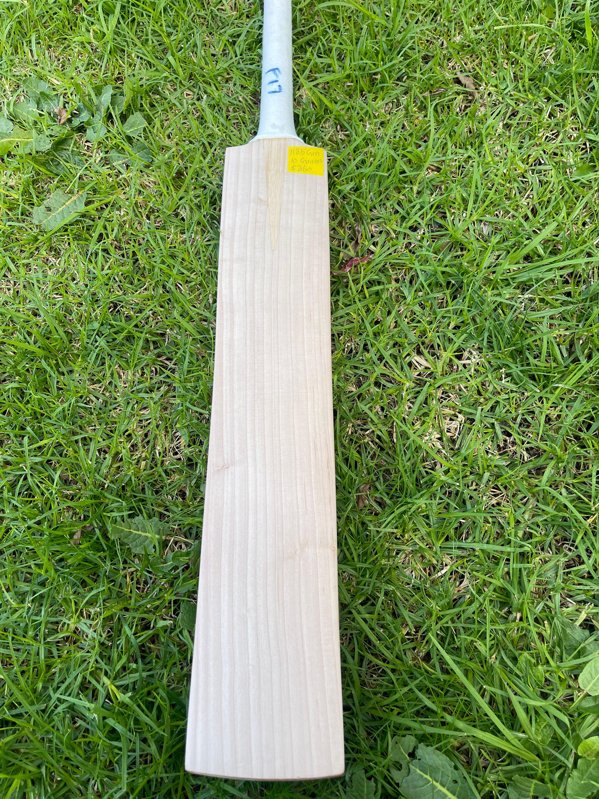 English Willow Cricket Bat - Non Branded | 1185g 10 Grains