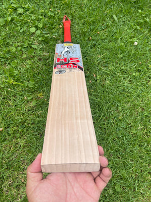 HS ICON English Willow Cricket bat-SH-9 Grains-1209g
