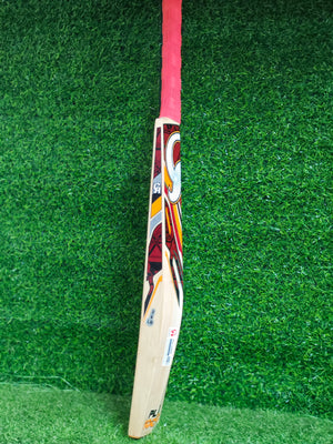 CA PLUS 10000 English Willow Cricket bat-9 Grains