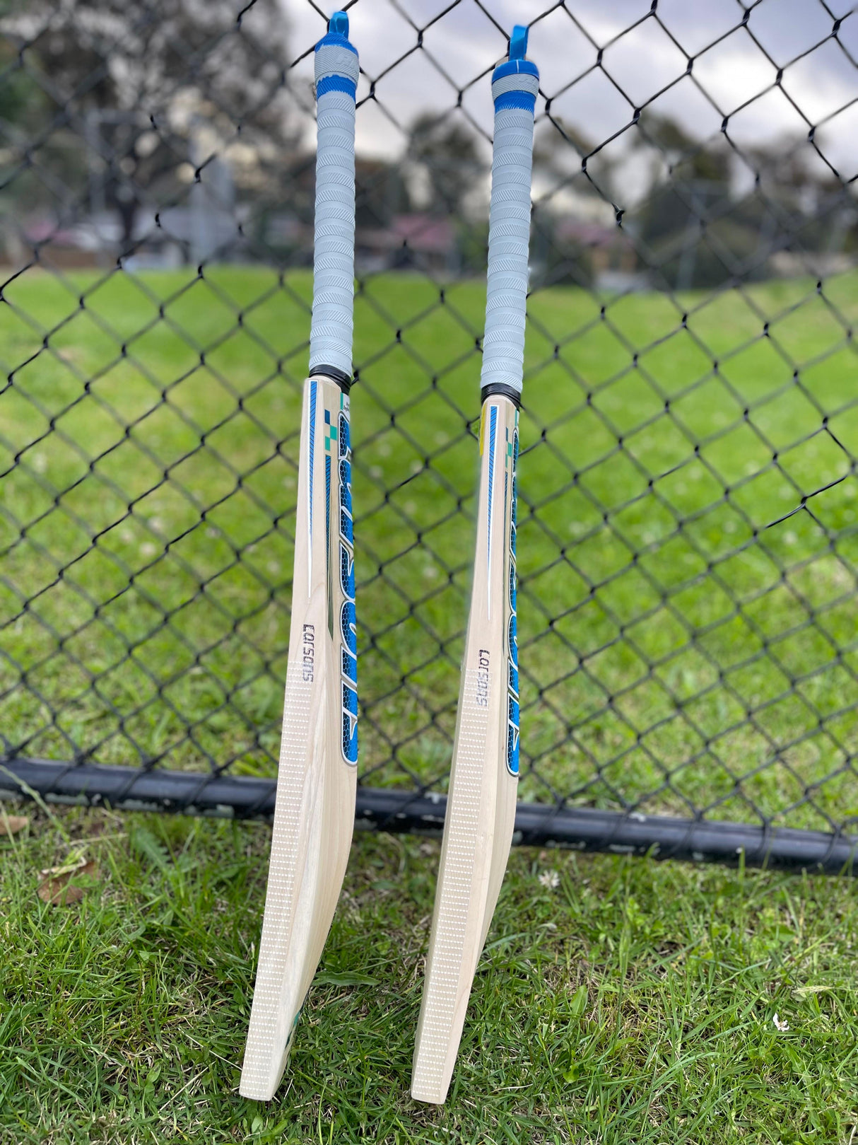 RNS Larsons V-100 English Willow Cricket Bat -1155g ( 2.6 lb )