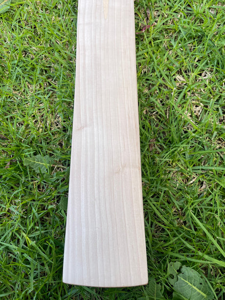 English Willow Cricket Bat - Non Branded | 1185g 10 Grains