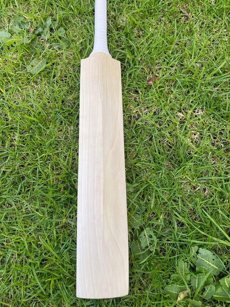 English Willow Cricket Bat - Non Branded | 1185g 07 Grains