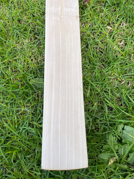 English Willow Cricket Bat - Non Branded | 1185g 07 Grains