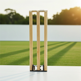 Metal Spring Base Wickets / Stumps
