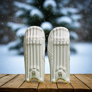 CA Gold 20K Cricket Keeping Pads
