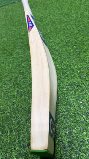CEAT Hitman - Kashmir Willow Cricket Bat - 1295g