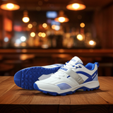 FG DON 999 Cricket shoes | Rubber stud