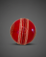SK- Junior cricket leather ball-4 Piece- 142g-Set of 2 Balls