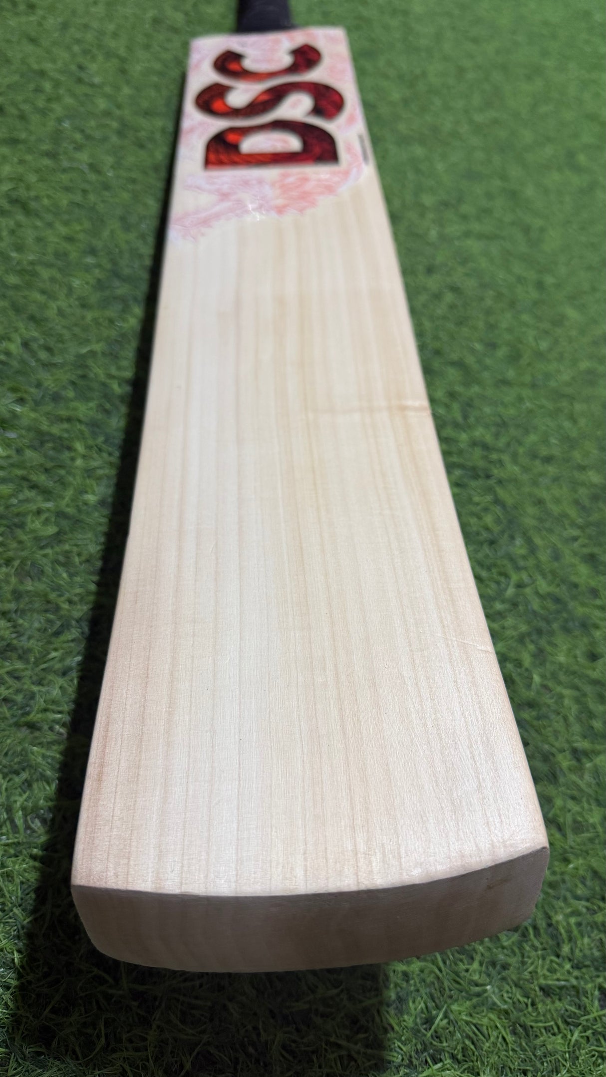 DSC Thumpa 3000 Edition English willow Cricket Bat - 12 Grains - 1250g