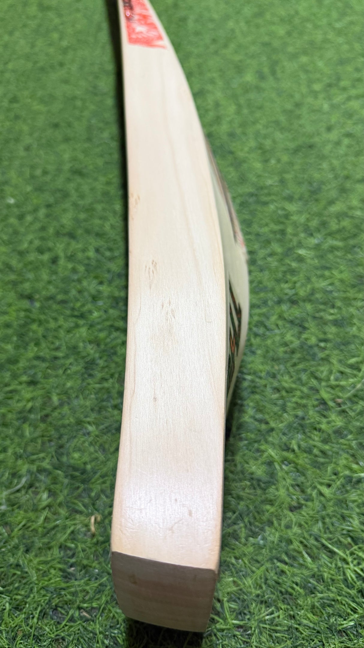DSC Thumpa 3000 Edition English willow Cricket Bat - 12 Grains - 1250g