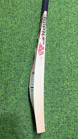 DSC Thumpa 3000 Edition English willow Cricket Bat - 12 Grains - 1250g
