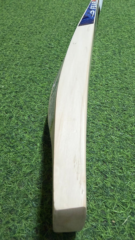 DSC KRUNCH 5.0 Grade 2 English willow Cricket Bat - 9 Grains - 1150g
