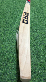 CA PRO 3000 English Willow Cricket bat-7 Grains-1191g