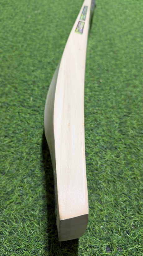 GM Psyche 404 English Willow Cricket Bat -7 Grains / 1180g /2.7lb-SH