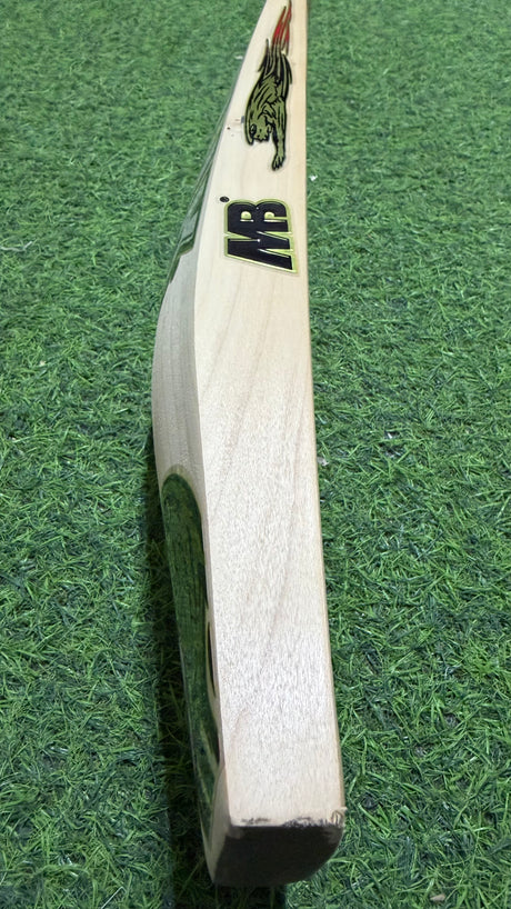 MB MALIK SHER AMIN English Willow Cricket Bat MB Malik -1235g - 08 Grains