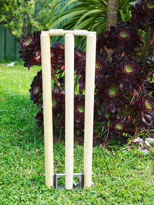 Spring and Metal Base Cricket Stumps.