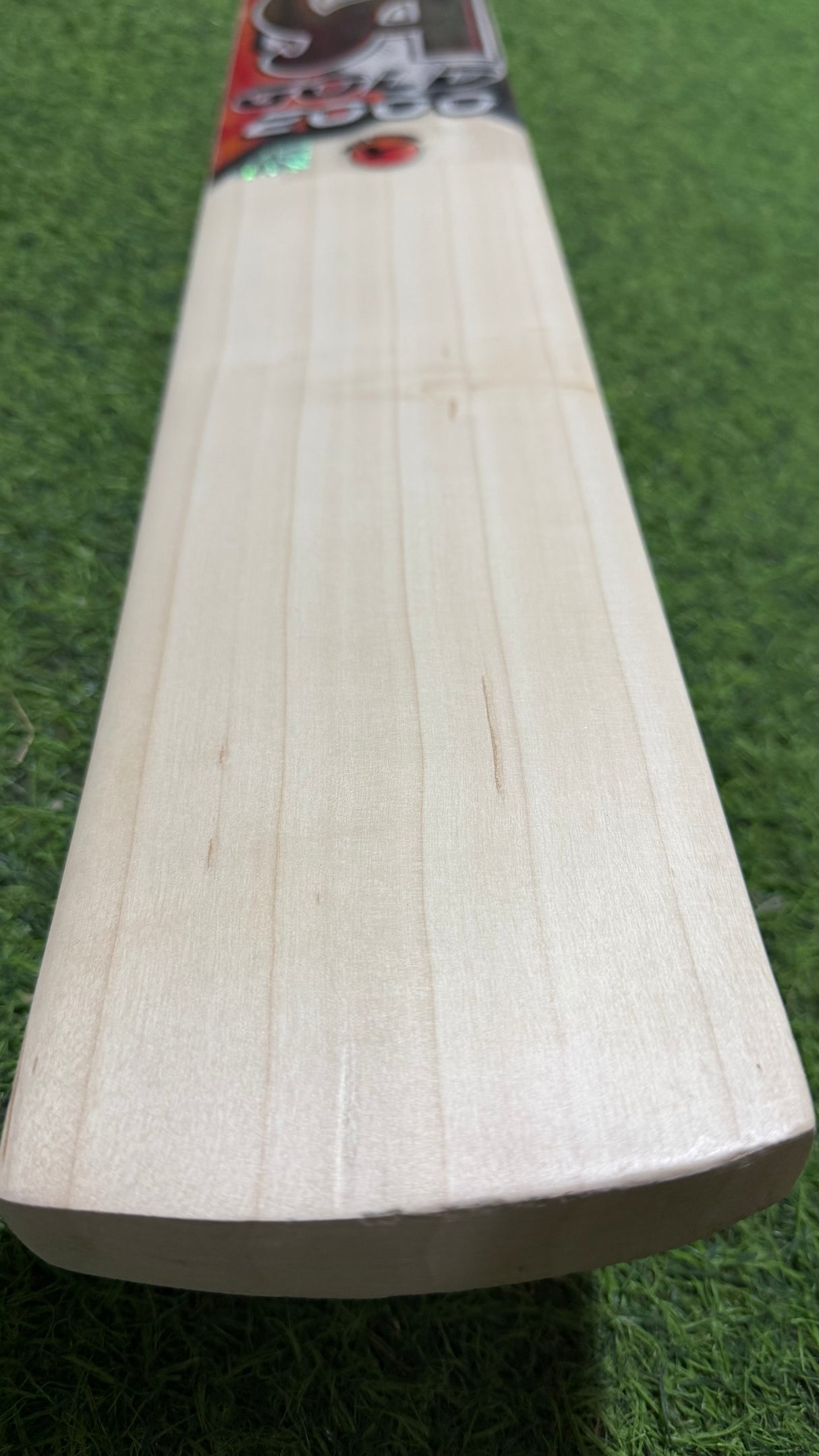 CA GOLD 2000 English Willow Cricket Bat | 5 Grains -1180g - 2.7 lb