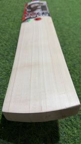 CA GOLD 2000 English Willow Cricket Bat | 6 Grains -1185g - 2.7 lb